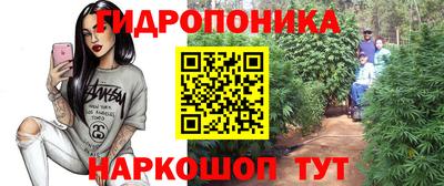 каннабис Кимры
