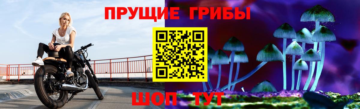 Псилоцибиновые грибы Cubensis  Вход с VPN  Вологда 